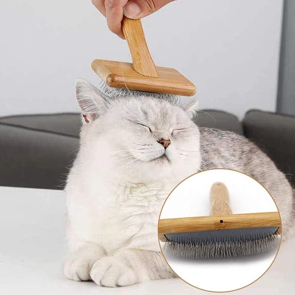 Professional cat grooming tools including brushes, combs, and nail clippers