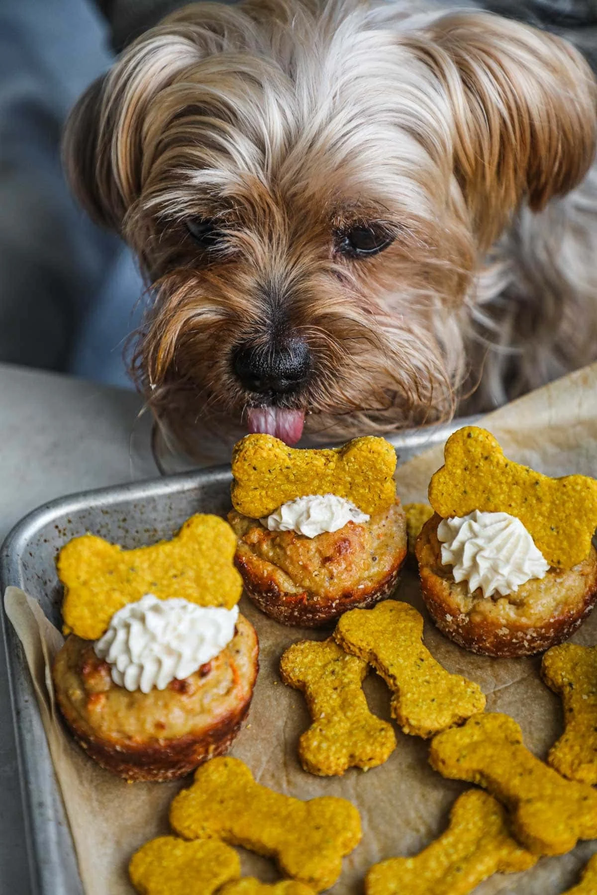 Assortment of healthy dog treats