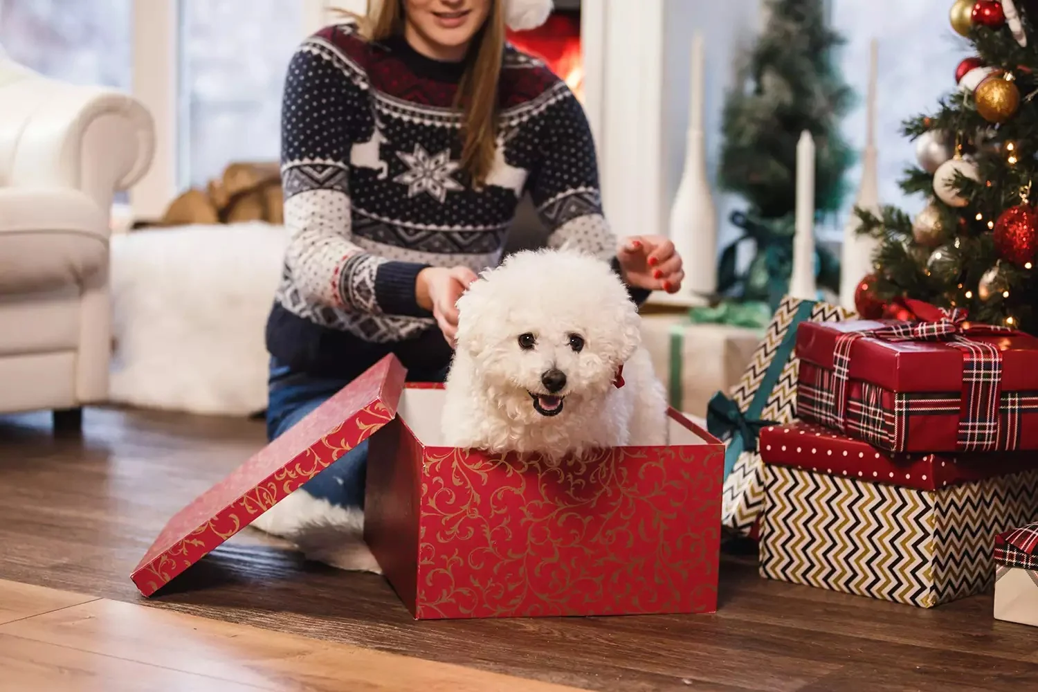 Family meeting with shelter dog