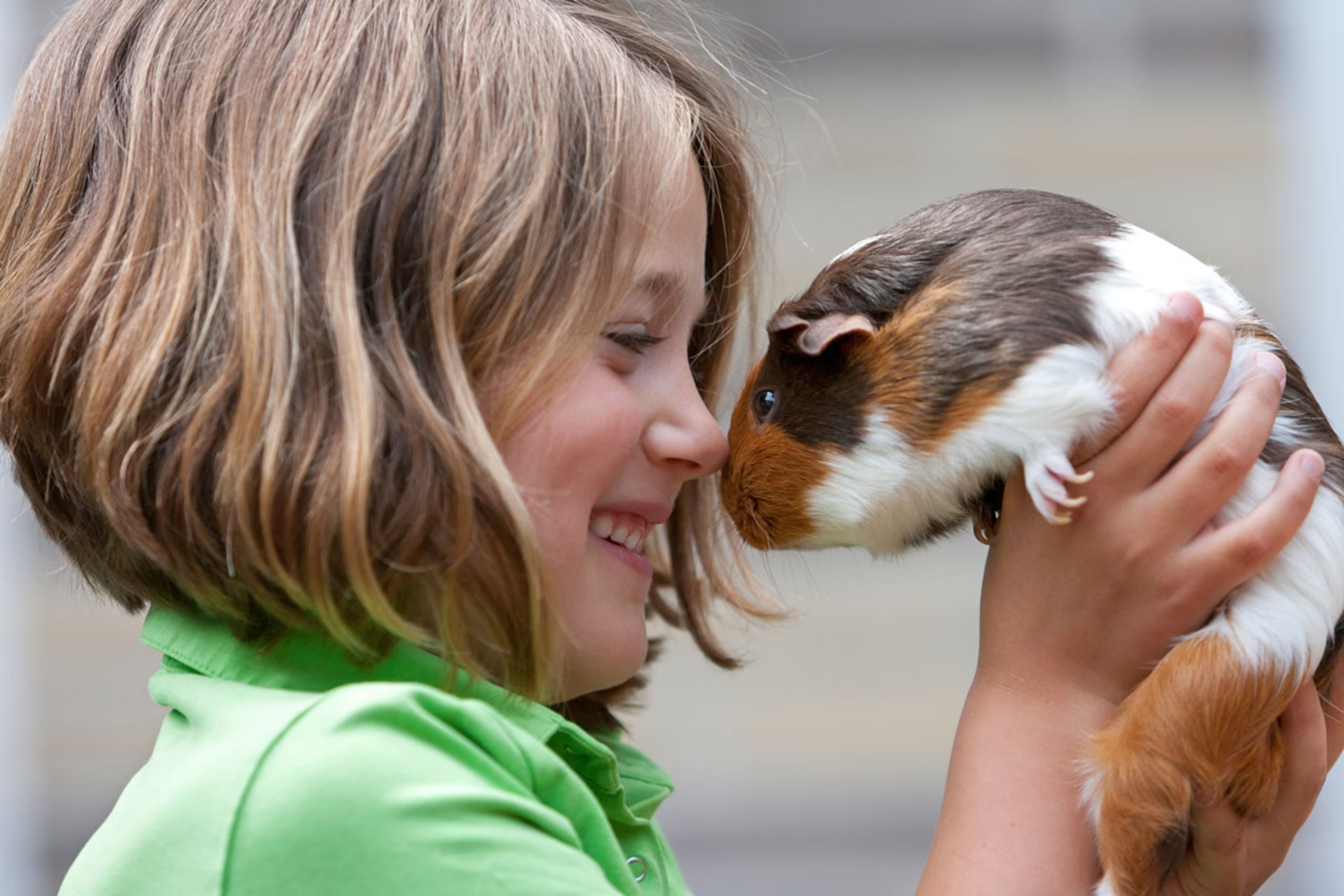 Small Mammals